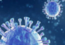 COVID-19 járvány kapcsán kifejtett aktivitásaink